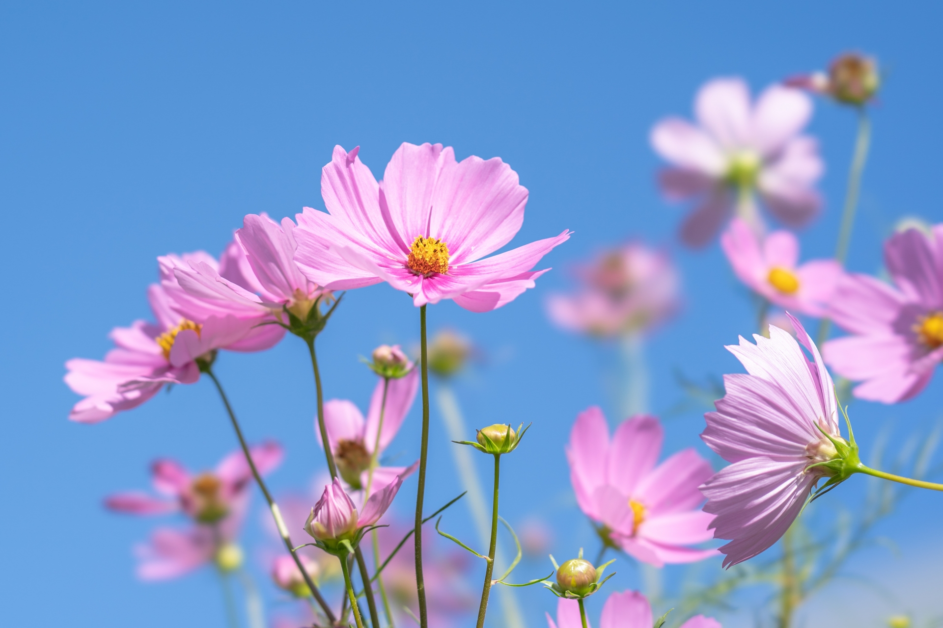 心が疲れてしまった時の対処法